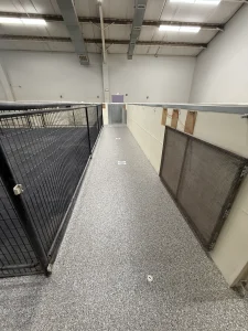 Dog kennel floor protected with epoxy flake coating