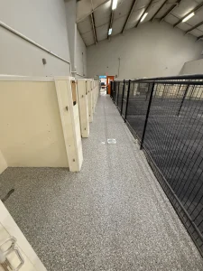 Dog kennel floor protected with epoxy flake coating